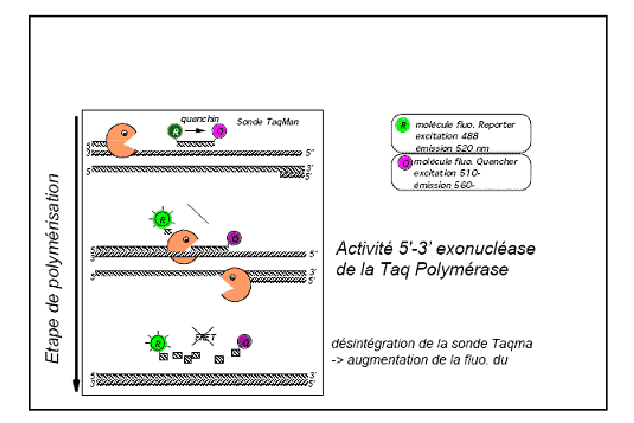 \begin{figure}
\centerfig{-15pt}{
\epsfxsize=14cm
\epsffile{matetmet/figures/006.eps}}
\end{figure}